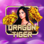 ok bet meaning game Dragon Tiger