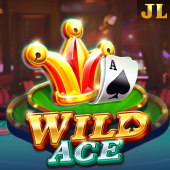 Wild Ace ok bet meaning slot